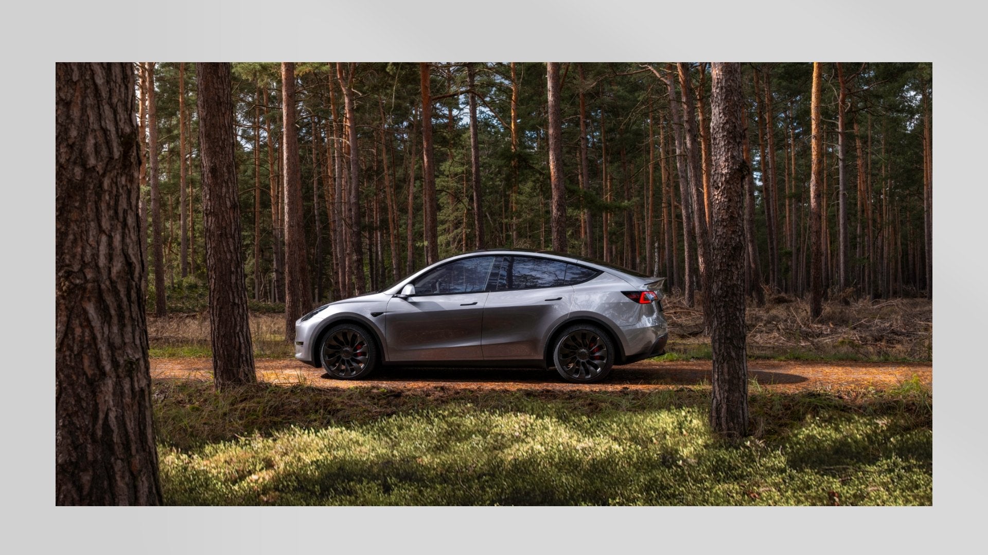 Tesla Model Y Rear-wheel drive with BYD cells from Grünheide charges s –  Shop4Tesla