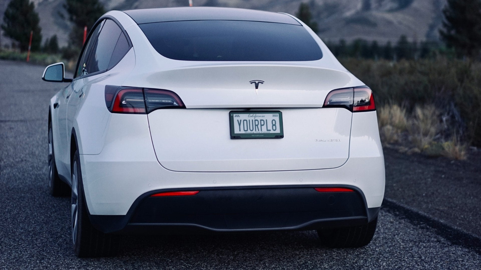 Tesla Model Y voted best family electric car – Shop4Tesla