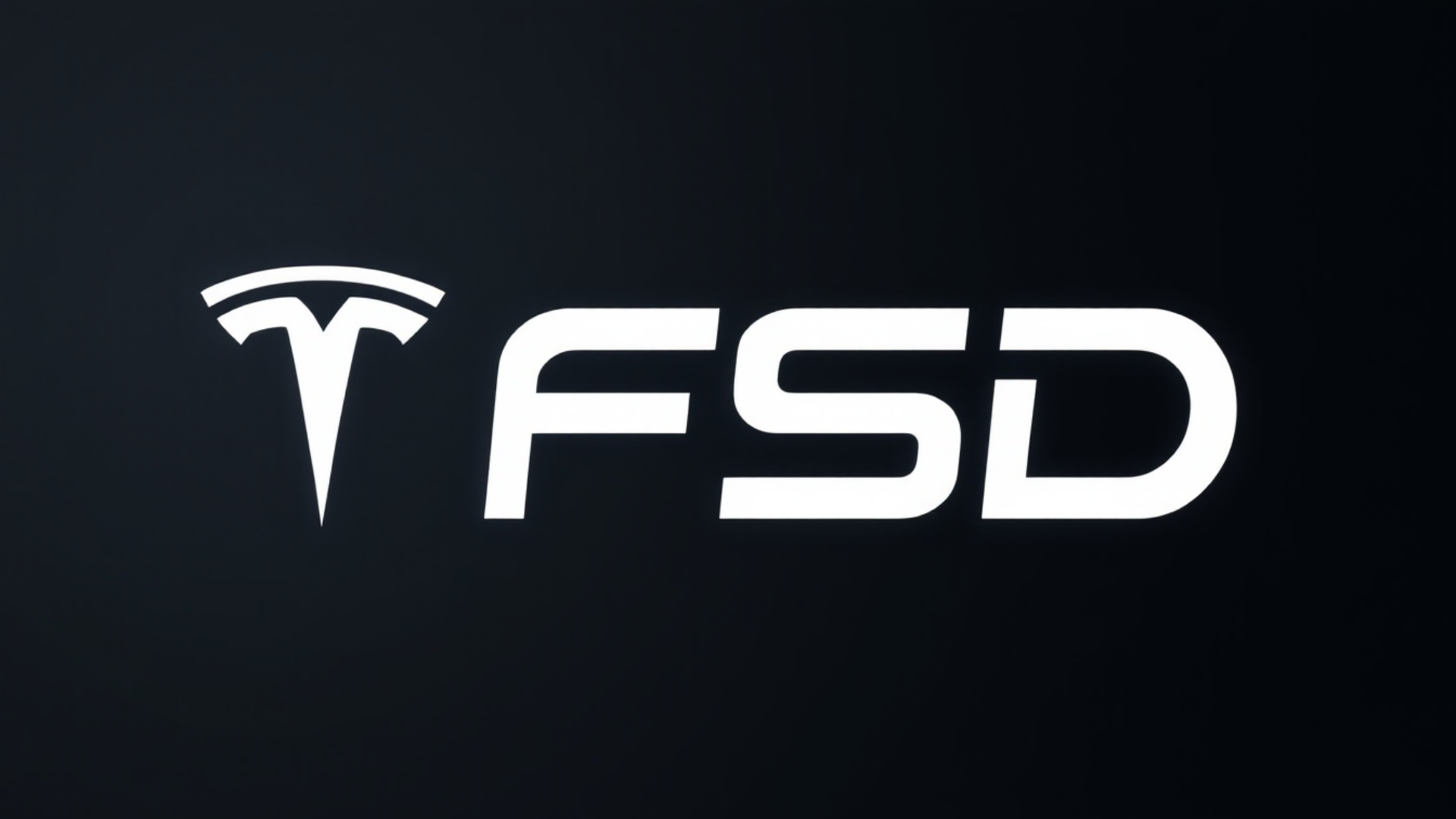 Tesla Fully Self Driving