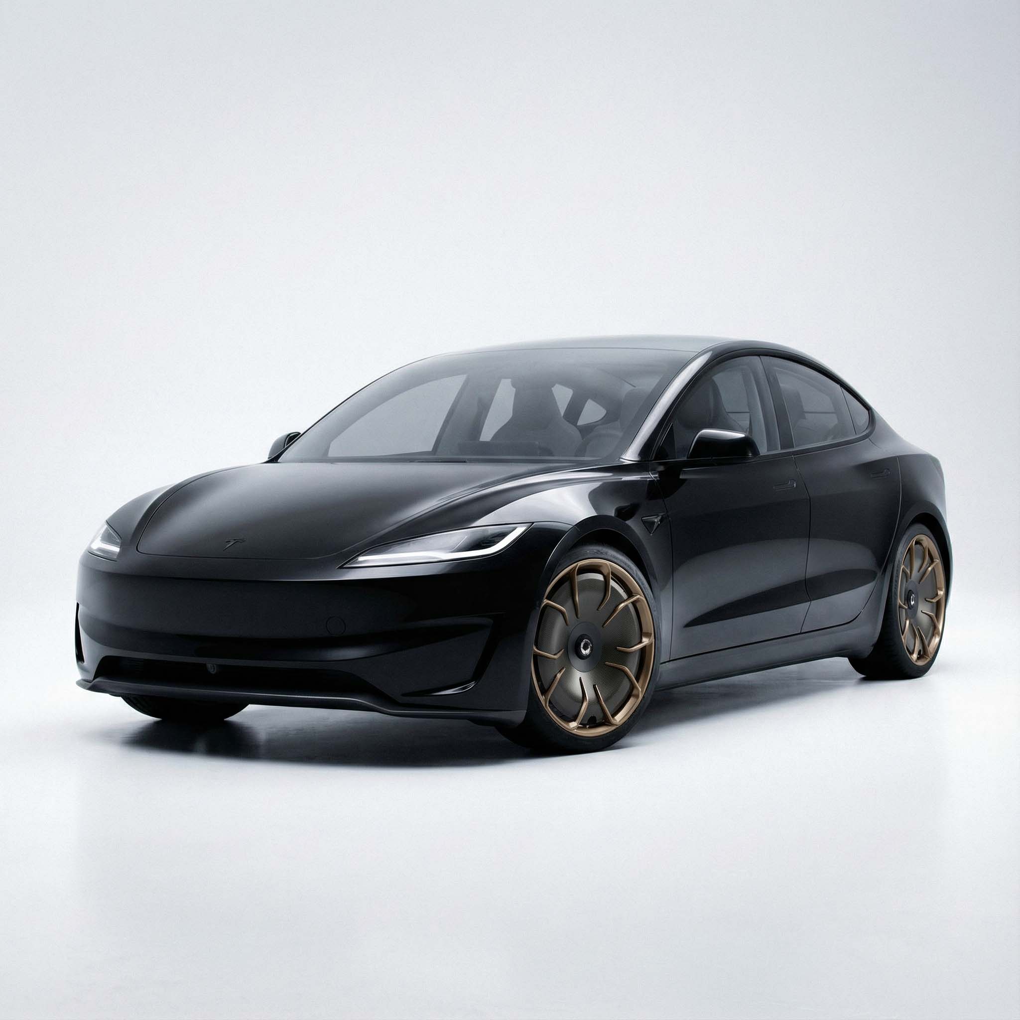 model3PChelaMB.jpg